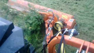 Cutting grass