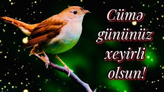 22 NOYABR. CÜMƏNİZ XEYİRLİ OLSUN. HAYIRLI CUMALAR. 🙏😊🌺