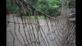 Mystical bridges of the Dan people - Ivory Coast (Cote d'Ivoire) West Africa