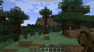 playing minecraft I  found a lot of rare things