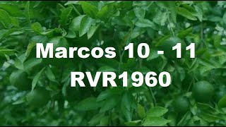 Marcos 10 - 11