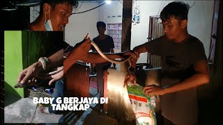 Kampong Alor Setanggok | Ngeri!!! Cara simpan ular dalam bekas