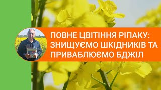 Повне цвітіння ріпаку: знищуємо шкідників та приваблюємо бджіл! (Моспілан, Біфлай)