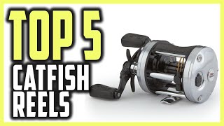 Best Catfish Reels of 2021 | Top Rated 5 Best Reels for Catfish