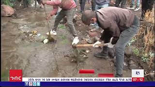 ኽምጣጘ ጂጘ: ጥቅምት 25/2017 ዓ.ስ (አሚኮ)