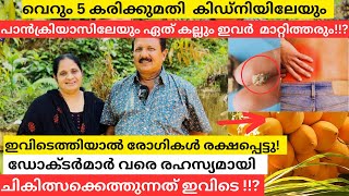 വെറും 5 ഡോസ് പച്ച മരുന്ന് കൊണ്ട് കിഡ്നിയിലേയും പാൻക്രിയാസിലെയും ഏത് കല്ലും പുഷ്പംപോലെ കളയും !!|