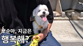 뽀순이를 처음 만난 그 곳에 다녀왔습니다.