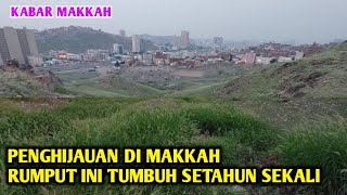 RUMPUT YANG TUMBUH SUBUR DI TANAH SUCI MAKKAH