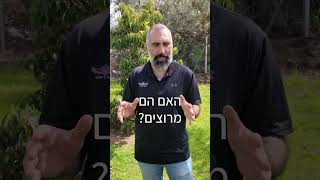 יונתן קשאני | כל יום יש גגות חדשים