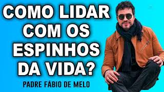 A VIDA É CHEIA DE ESPINHOS APRENDA A LIDAR COM ELES PE FABIO DE MELO