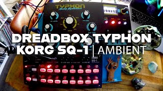 Dreadbox Typhon & Korg SQ-1 - Ambient Analog Synth Soundscaping session - long video