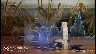 MAGNUMVC Hedge Fund Optimization