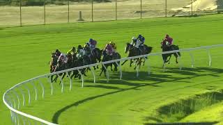 Macmahon Belgravia Stakes 2024 - WEST STAR (3YO LR) Listed Ascot 26 October