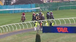 NZ Grand National Steeplechase 2024 - WEST COAST (OSTPL) Riccarton Park New Zealand 10 August