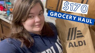 $107 Aldi Grocery Haul