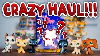 HUGE DREAM LPS UNBOXING! - Littlest Pet Shop Haul