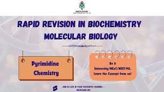 Pyrimidines | Molecular Biology Part 2 | Rapid Revision - Biochemistry | MEDUSANE