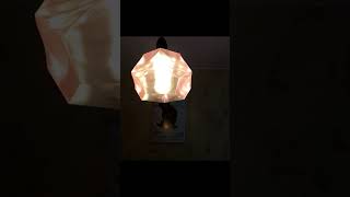 3D printed lampshade