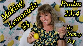 Making Lemonade #3 on Psalm 23:4 by Nancy Joy How to Turn Life’s Lemons into Lemonade #nancygracejoy