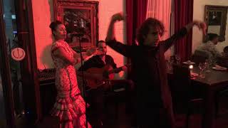 Alegrias Flamenco show