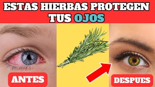 7 HIERVAS CURATIVAS Que Protegen los OJOS y REPARAN la VISIÓN