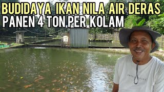 TIAP KOLAM BISA PANEN 4 TON DARI BUDIDAYA IKAN NILA AIR DERAS DAN IKAN LEBIH CEPAT BESAR