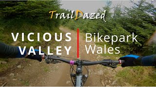 Vicious Valley - Bikepark Wales MTB Red Trail