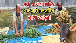 খড় ও ঘাস কেটে একসাথে কতদিন রাখা ভালো || গরু পালন পদ্ধতি || Nut Bhai