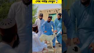 ছাগল চোর | #viral #viralshort