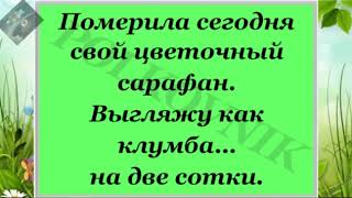 Зачётный юмор  Сегодня примерила свой цветочный сарафан