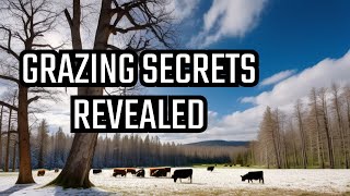 Secrets of Stockpile Grazing in silvopasture, winter Lice, bark beetle, and timelapse.