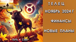 ТЕЛЕЦ ноябрь 2024 год