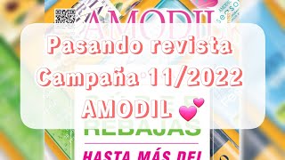 pasando revista #Amodil campaña 11/2022