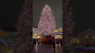 Covent Garden's Christmas Marvel: A Tree Like No Other!"** #Shorts