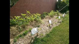 How to build a lasagna garden – Karl’s Food Forest Garden - S001E031