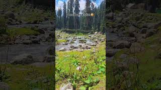 Siri Paye Meadows | Shogran | #youtubeshorts #youtubevideos #travel #trekkings #mountains