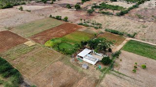 12 Acres agriculture land for sale 110 Kms form Bangalore 7338197726