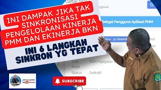 INI DAMPAK JIKA TIDAK SINKRONISASI PENGELOLAAN KINERJA PMM DAN EKINERJA BKN