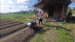 melihat kebun sayur dan ngobrol bareng warga transmigrasi kalimantan desa gunung putih