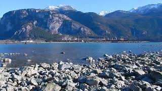 DSCN0160 - Squamish Estuary February 13, 2024 at low tide