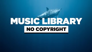 WOMA - Fountain (Vlog No Copyright Music)