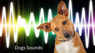 Dogs barking sound effect