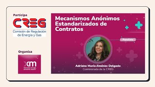 Mecanismos Anónimos Estandarizados de Contratos