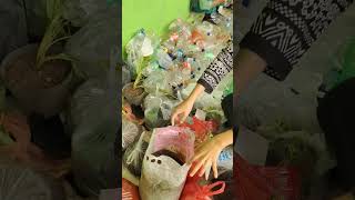 SRINTIL WEDUS pupuk bunga subur #fypシ゚viral #pupukkandang #daurulangplastik #potbungaplastik