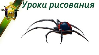 Учимся рисовать паука (как научиться рисовать каракурта) Learn to draw a spider