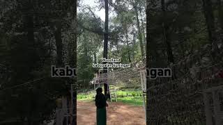 Wisata alam Woodland kabupaten kuningan