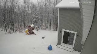 Sledding