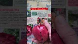 Как почистить гранат гранат #рецепт #урожай фрукты