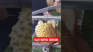 Alat Kupas Durian #shorts