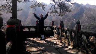 Wudang Xing Yi